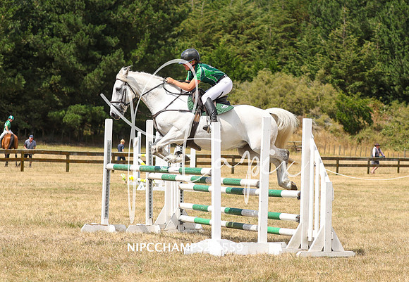 NIPCCHAMPS2-9559
