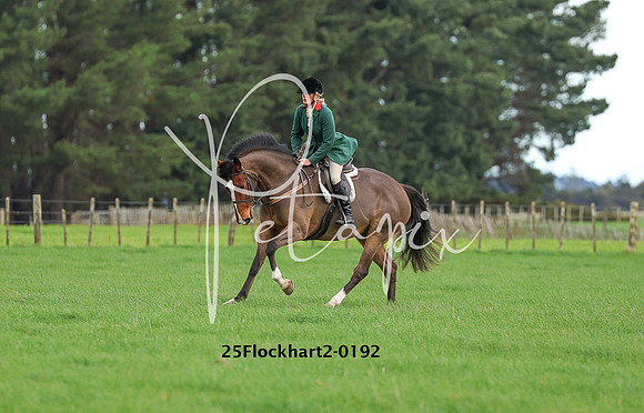 25Flockhart2-0192