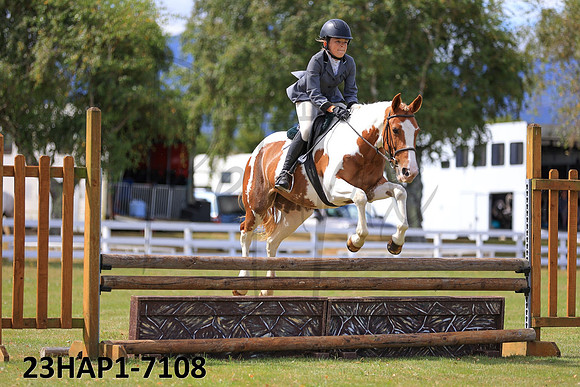 23HAP1-7108