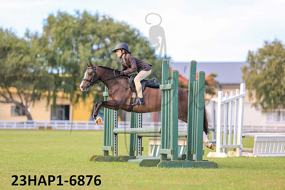 23HAP1-6876