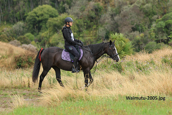 Waimutu-2005