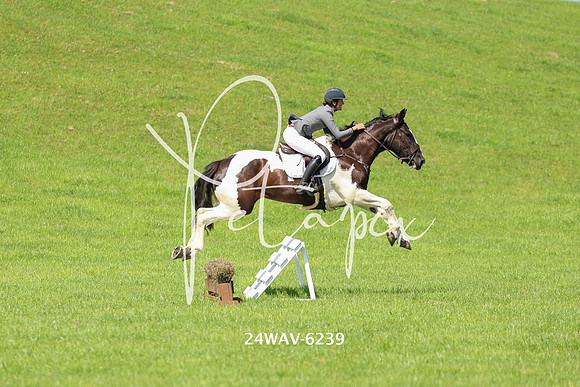 24WAV-6239