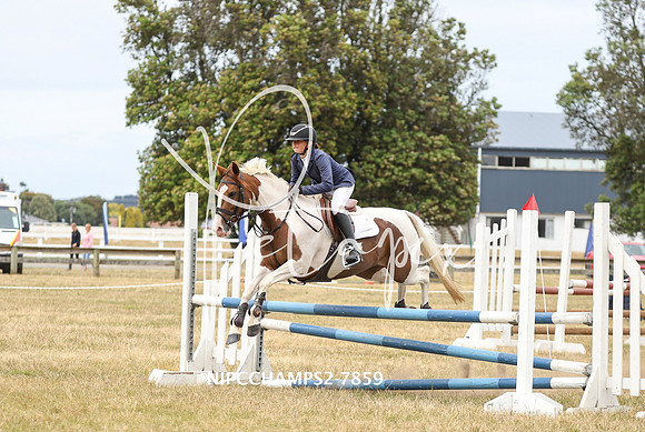 NIPCCHAMPS2-7859