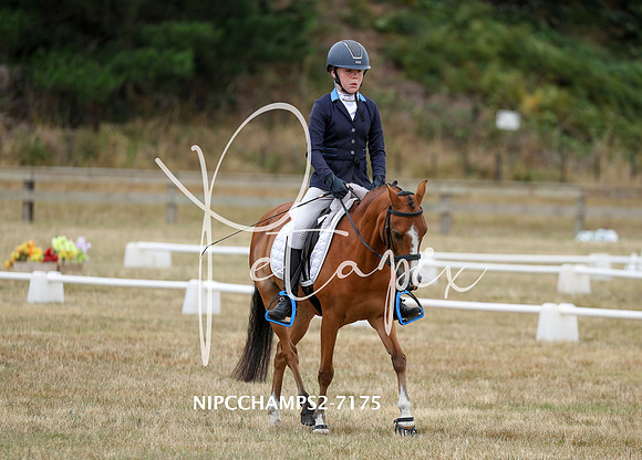 NIPCCHAMPS2-7175