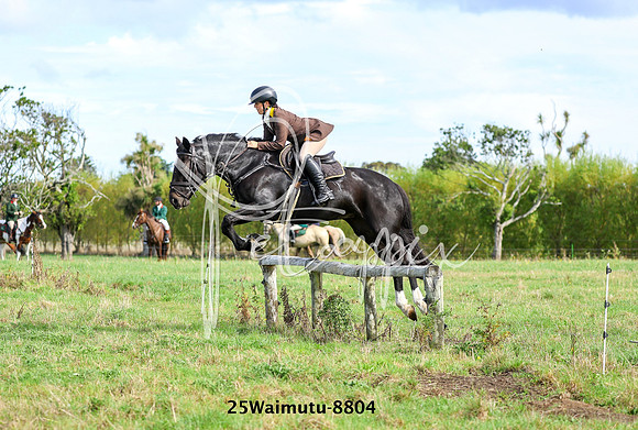 25Waimutu-8804