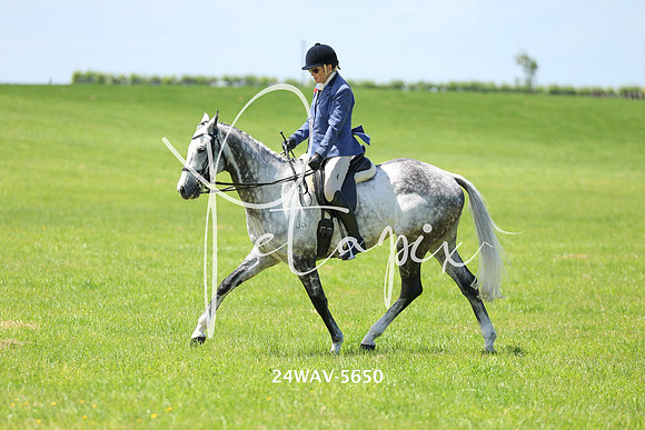 24WAV-5650