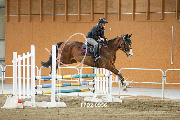 FPD2-0956