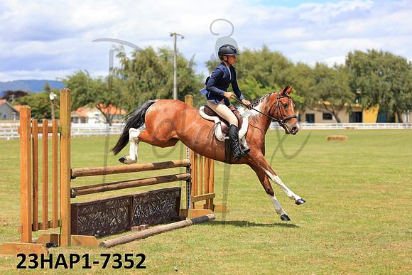 23HAP1-7352