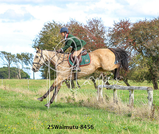 25Waimutu-8456