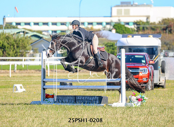 25PSH1-0208