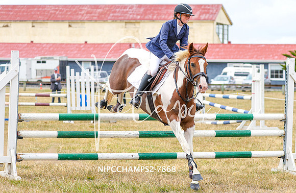 NIPCCHAMPS2-7868