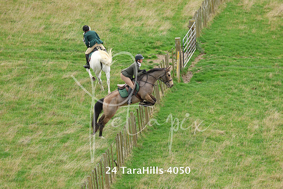 24 TaraHills-4050