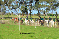 25Horrocks-15373