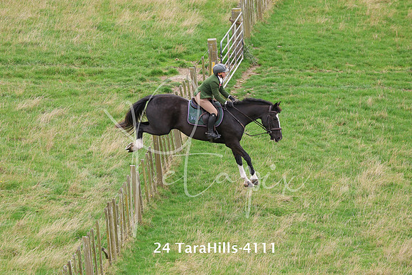 24 TaraHills-4111