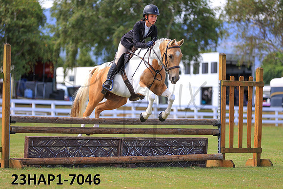 23HAP1-7046