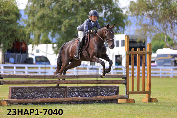 23HAP1-7040
