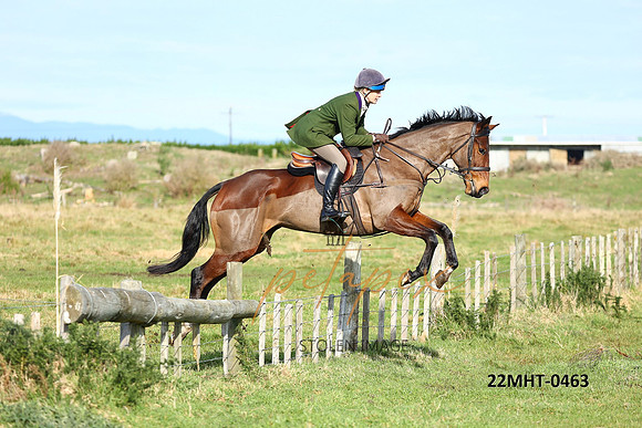 22MHT-0463