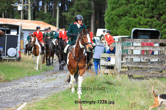 Knottingly-7228