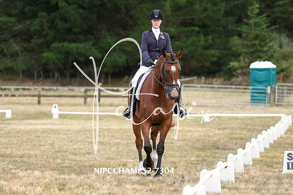 NIPCCHAMPS2-7304