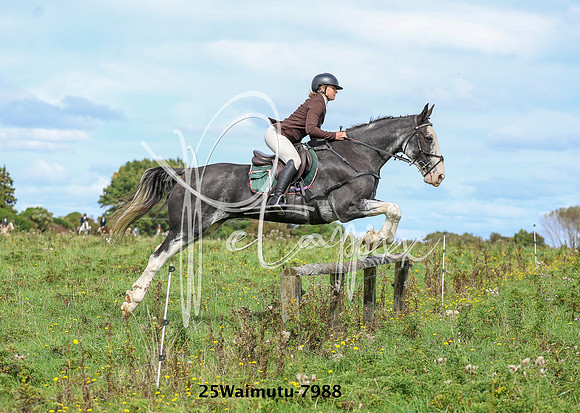 25Waimutu-7988