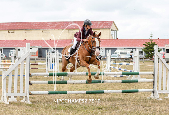 NIPCCHAMPS2-7910
