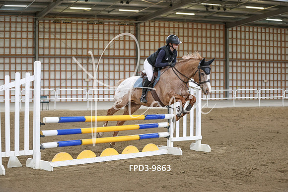 FPD3-9863