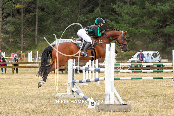 NIPCCHAMPS2-8702