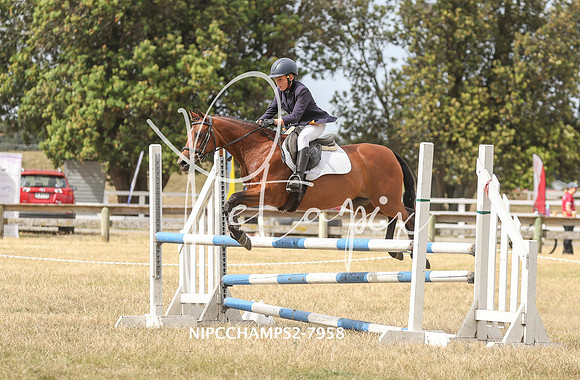 NIPCCHAMPS2-7958