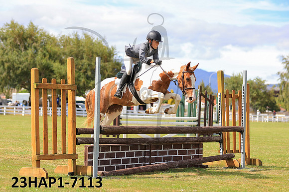 23HAP1-7113