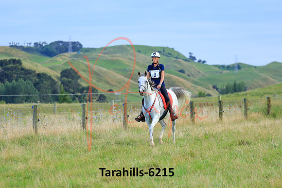 Tarahills-6215