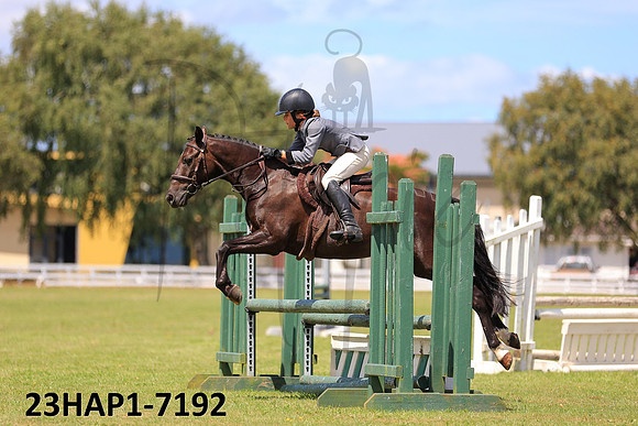 23HAP1-7192