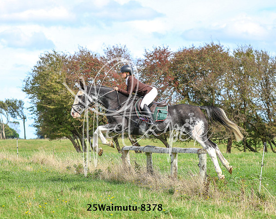 25Waimutu-8378