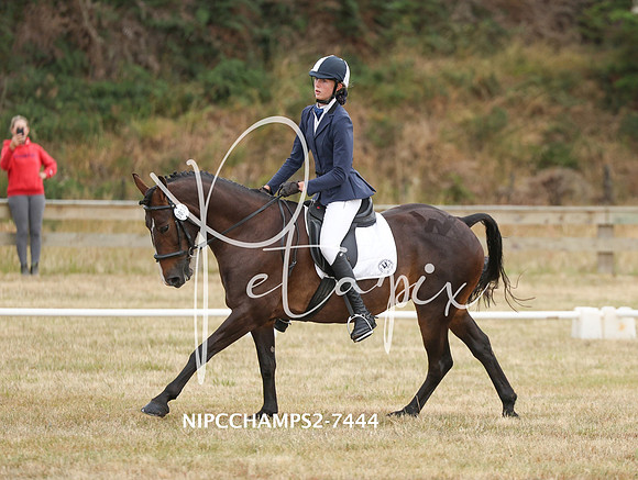 NIPCCHAMPS2-7444