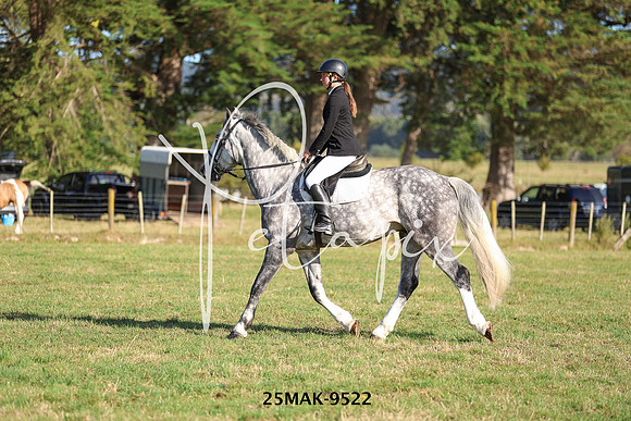 25MAK-9522