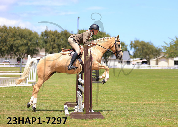 23HAP1-7297