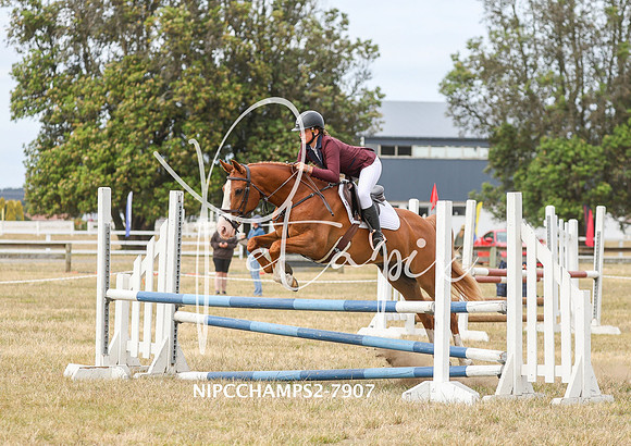 NIPCCHAMPS2-7907