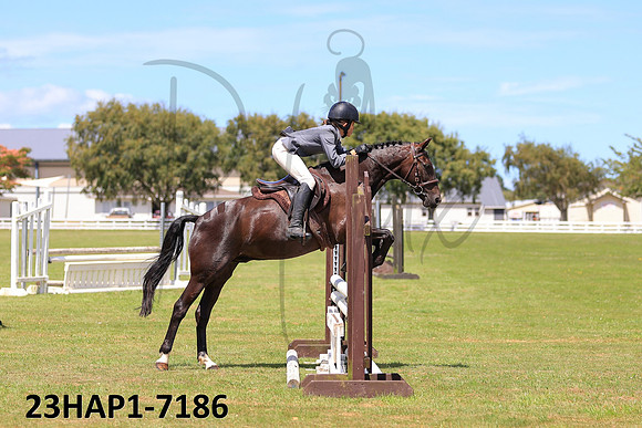 23HAP1-7186