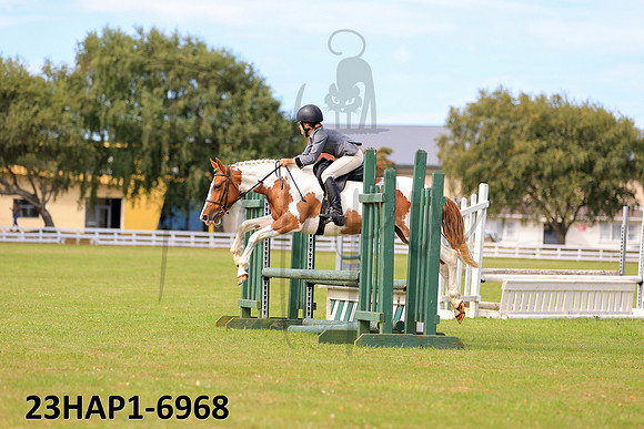 23HAP1-6968