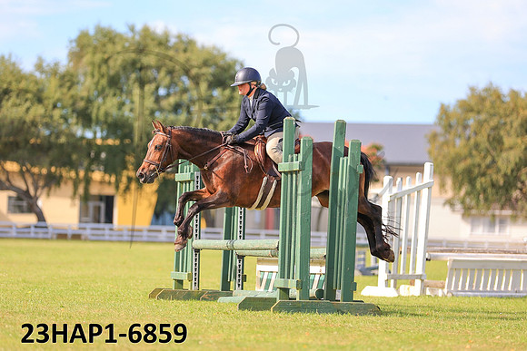 23HAP1-6859
