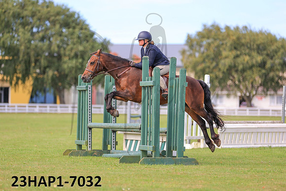 23HAP1-7032