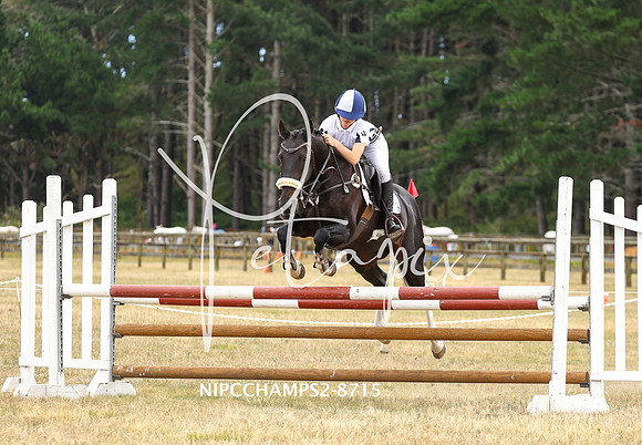 NIPCCHAMPS2-8715