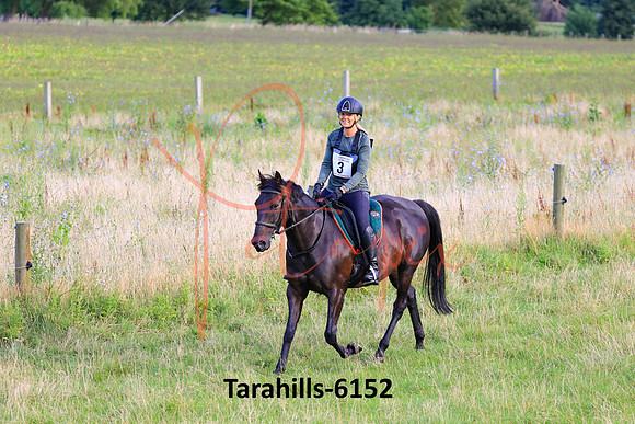Tarahills-6152