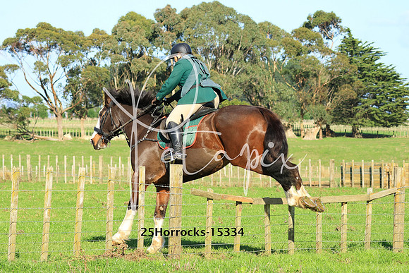 25Horrocks-15334