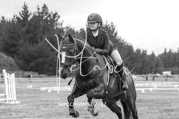 NIPCCHAMPS2-7782