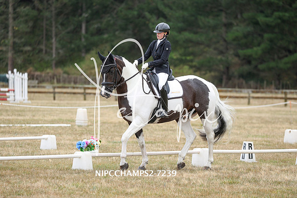 NIPCCHAMPS2-7239