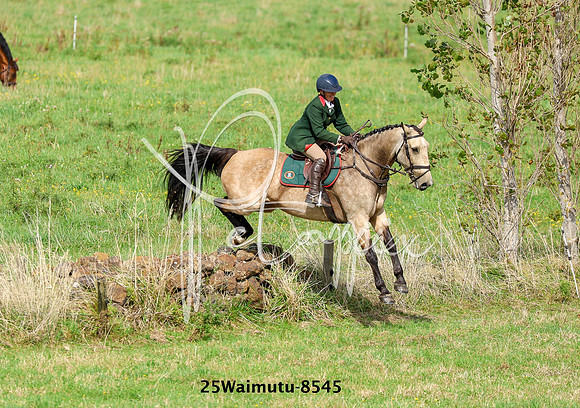 25Waimutu-8545
