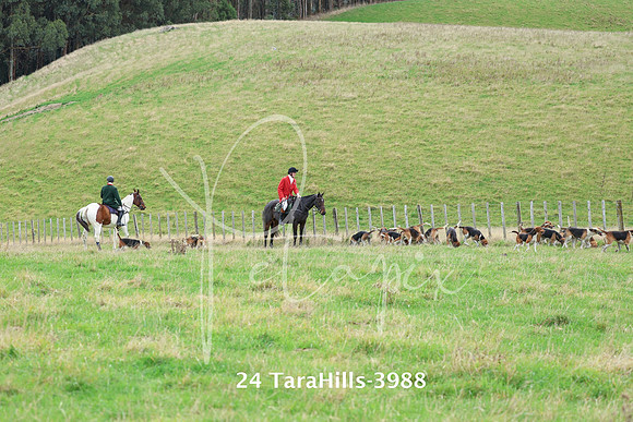 24 TaraHills-3988