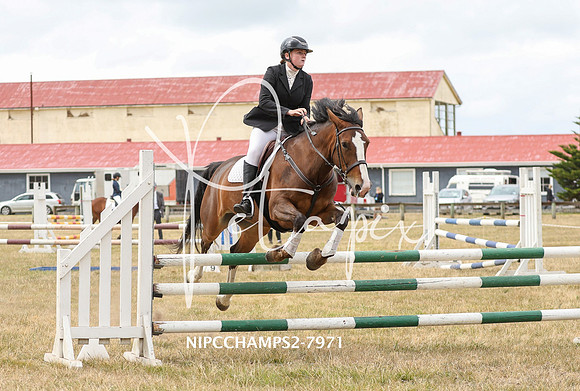 NIPCCHAMPS2-7971