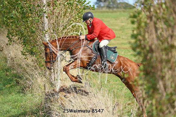 25Waimutu-8547