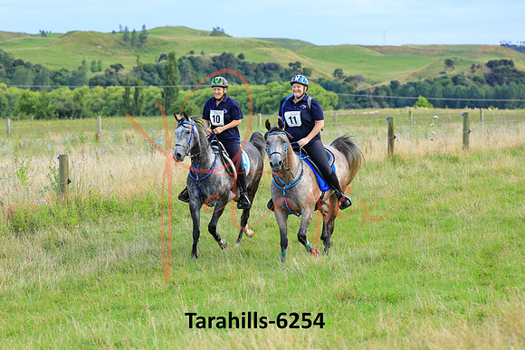 Tarahills-6254